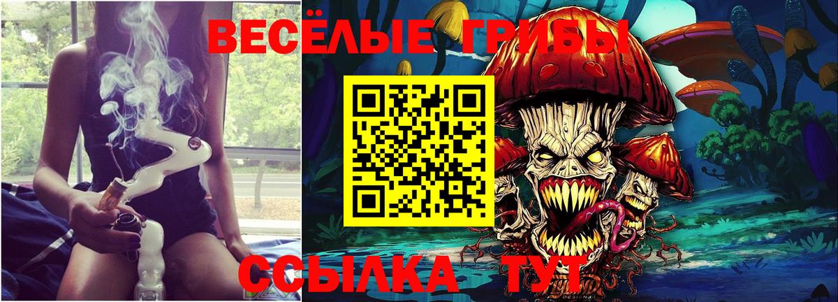 Галлюциногенные грибы прущие грибы  Вход с VPN  Ейск 
