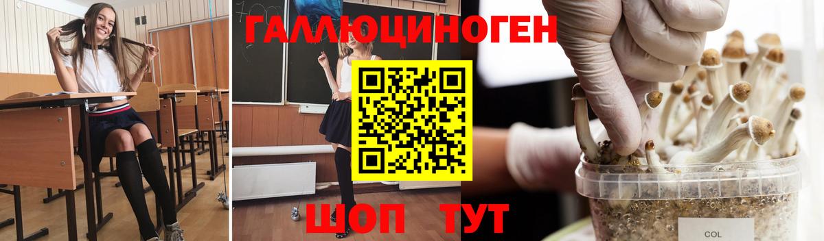 Галлюциногенные грибы мухоморы Ейск